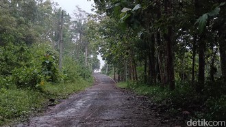 Kisah Kampung Mati di Gunung Tugel Banyumas: Ternyata, Dulu Bekas...