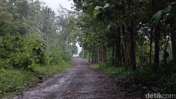 Suasana sebutan 'Kampung Mati' Gunung Tugel, Desa Kedungrandu, Kecamatan Patikraja, Kabupaten Banyumas, Senin (9/3/2026).