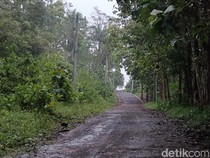 Kisah Kampung Mati di Gunung Tugel Banyumas: Ternyata, Dulu Bekas...