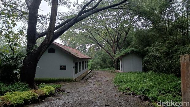 Suasana sebutan 'Kampung Mati' Gunung Tugel, Desa Kedungrandu, Kecamatan Patikraja, Kabupaten Banyumas, Senin (9/3/2026).