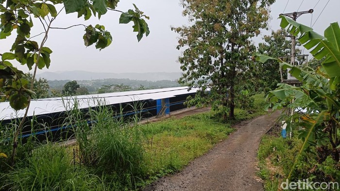 Penampakan kandang ayam closed house di kampung mati Gunung Tugel, Desa Kedungrandu, Kecamatan Patikraja, Kabupaten Banyumas, Senin (9/3/2026).