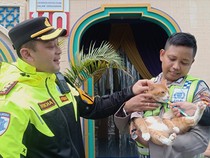 Video: Kenalan dengan Poyici Oyen yang Atur Lalu Lintas di Puncak Bogor