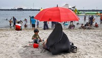 Sejak pagi hari, arus pengunjung mulai berdatangan dari berbagai wilayah Jabodetabek. Mereka membawa tikar, bekal makanan, hingga perlengkapan bermain air untuk menikmati suasana pantai bersama keluarga.