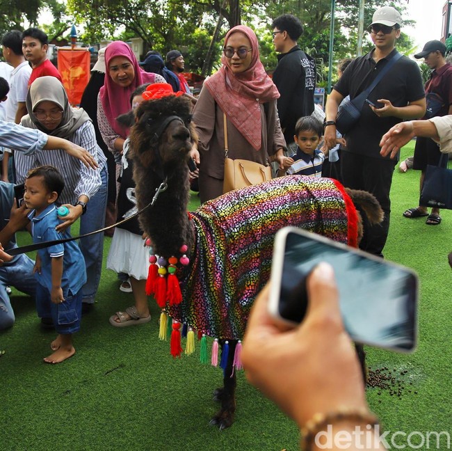 Parade Hewan Samudra Ancol Meriahkan Libur Lebaran