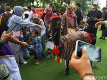Parade Hewan Samudra Ancol Meriahkan Libur Lebaran