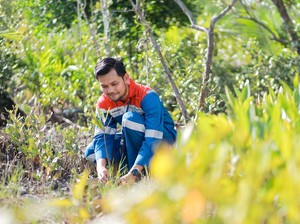 Hutan Lestari Pertamina: Menenun Harmoni Alam, Menuai Kesejahteraan Warga