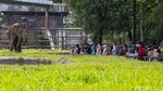 Ragunan Diserbu 37 Ribu Pengunjung di Hari Kedua Lebaran