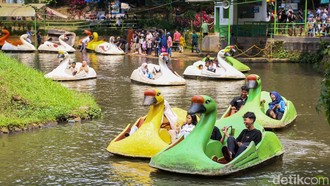 Cerita Pengunjung Ragunan Saat Libur Idulfitri 2026: Ada yang Happy, Sebagian Kecewa