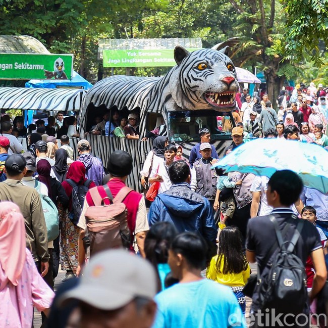 Ragunan Diserbu 37 Ribu Pengunjung di Hari Kedua Lebaran