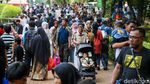 Ragunan Diserbu 37 Ribu Pengunjung di Hari Kedua Lebaran
