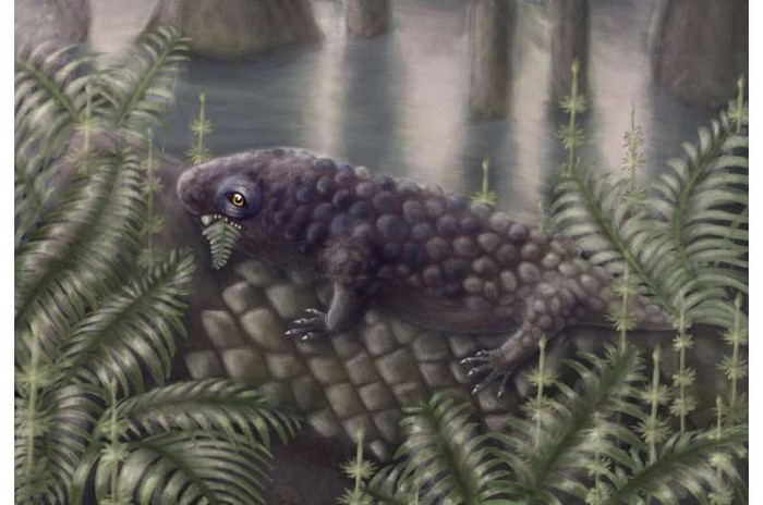 Rekonstruksi Tyrannoroter hebert, hewan yang makan tumbuhan pertama di Bumi