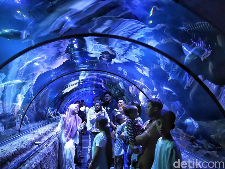Sea World Ancol Dipadati Wisatawan Saat Libur Lebaran