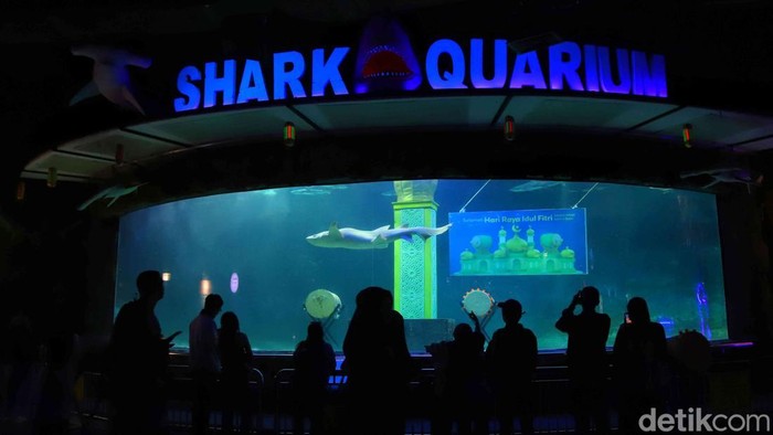 Wisatawan mengantre masuk ke Sea World Ancol, Jakarta, Minggu (22/3/2026).