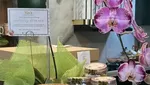 Spesial Lebaran! 8 Hampers Milik Seleb, Ada Kue hingga Piring Cantik