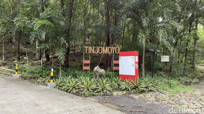 Suasana Hutan Wisata Tinjomoyo Semarang yang kini menjadi tempat trekking. Foto diambil Senin (9/3/2026).