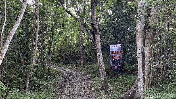 Suasana Hutan Wisata Tinjomoyo Semarang yang kini menjadi tempat trekking Suasana Hutan Wisata Tinjomoyo Semarang yang kini menjadi tempat trekking. Foto diambil Senin (9/3/2026).