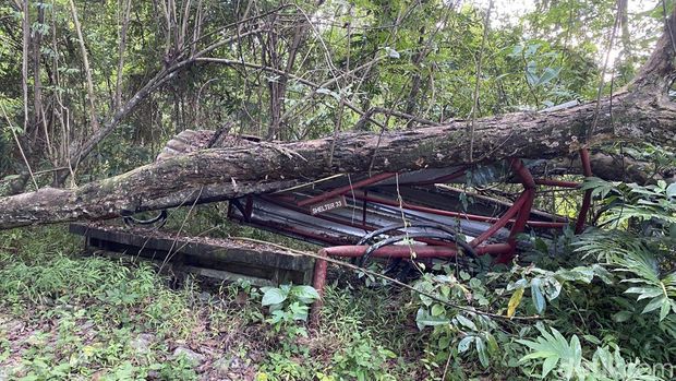 Shelter atau tempat berteduh yang bertuliskan 'Shelter 33' rusak tertimpa batang pohon tumbang.