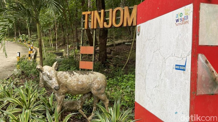 Suasana Hutan Wisata Tinjomoyo Semarang yang kini menjadi tempat trekking. Foto diambil Senin (9/3/2026).