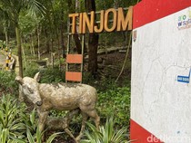 Nostalgia Hutan Tinjomoyo Semarang: Dulu Bonbin, Kini Jadi Tempat Trekking