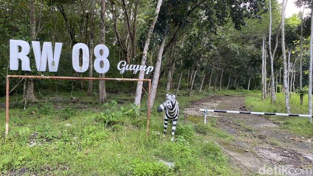 Suasana Hutan Wisata Tinjomoyo Semarang yang kini menjadi tempat trekking Suasana terkini Hutan Wisata Tinjomoyo Semarang. Foto diambil Senin (9/3/2026).