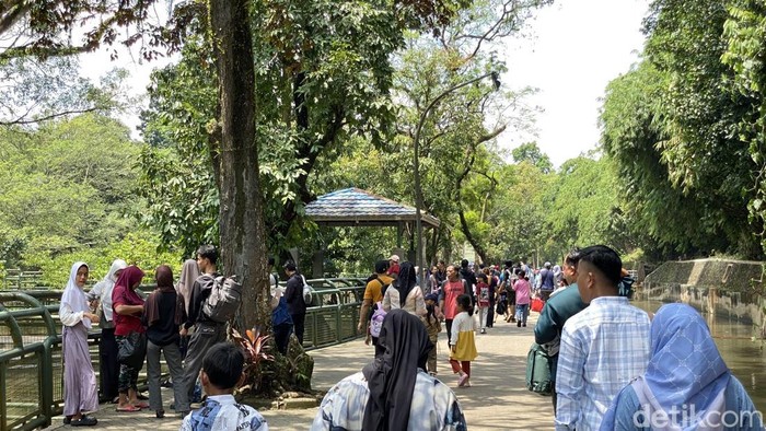 Suasana Ragunan di hari kedua Lebaran. (Devi/detikcom)