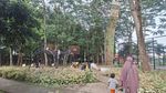 Potret Taman Ranggon Wijaya Kusuma Cocok buat Libur Sekolah, Ada Rumah Pohon