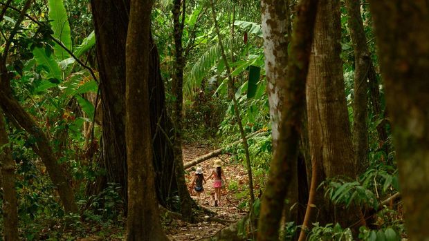 Taman Nasional Corcovado di Kosta Rika Taman Nasional Corcovado di Kosta Rika