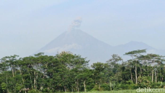 Gunung Semeru erupsi 2 kali.