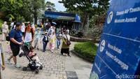Pengunjung juga dapat bersepeda santai atau memanfaatkan layanan shuttle gratis untuk berkeliling area Taman Mini.