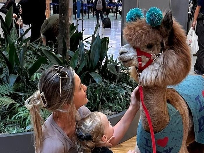 Llamas di Bandara Internasional Portland (PDX)