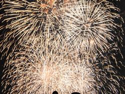 Foto HP Makin Gila! Ini Pemenang Mobile Photography Awards 2025