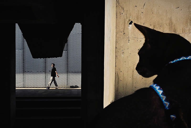 Mobile Photography Awards 2025