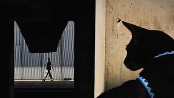 Pemenang kategori Street diraih Yajun Hu. Adegan jalanan berlapis-lapis mengontraskan pejalan kaki yang diterangi dengan tajam dengan seekor kucing yang berada dalam bayangan di latar depan. Pembingkaian yang cerdas melalui bentuk-bentuk arsitektur menciptakan kedalaman dan daya tarik. Yajun Hu menunjukkan visi fotografi mobile yang luar biasa, memadukan waktu, perspektif, dan penceritaan ke dalam narasi urban yang memikat. Foto: Mobile Photography Awards