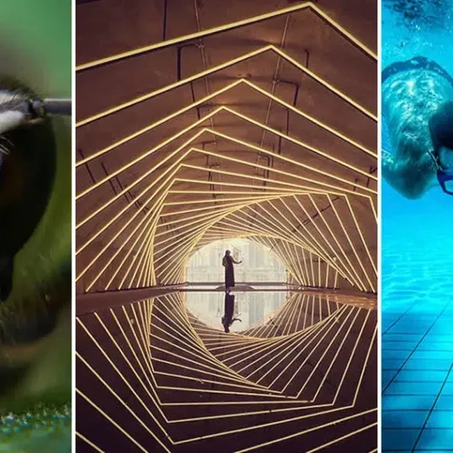 Foto HP Makin Gila! Ini Pemenang Mobile Photography Awards 2025