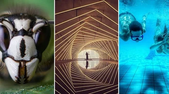 Foto HP Makin Gila! Ini Pemenang Mobile Photography Awards 2025