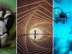 Foto HP Makin Gila! Ini Pemenang Mobile Photography Awards 2025