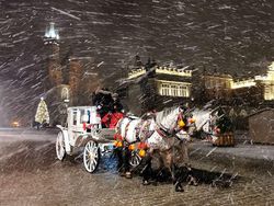 Foto HP Makin Gila! Ini Pemenang Mobile Photography Awards 2025