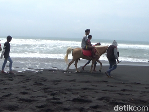 Libur Lebaran Bikin Ojek Kuda Pantai Watu Pecak Cuan Jutaan per Hari