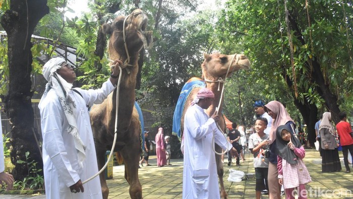 Parade Satwa Kebun Binatang Surabaya
