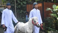 Sepanjang rute parade, pawang atau pemegang satwa beberapa kali menghentikan langkah untuk memberi kesempatan kepada pengunjung berinteraksi langsung.