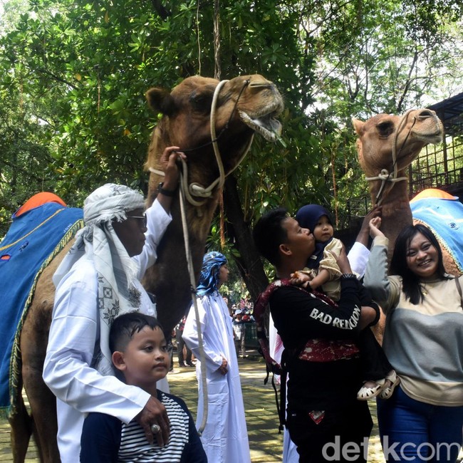 Ribuan Pengunjung Padati Kebun Binatang Surabaya