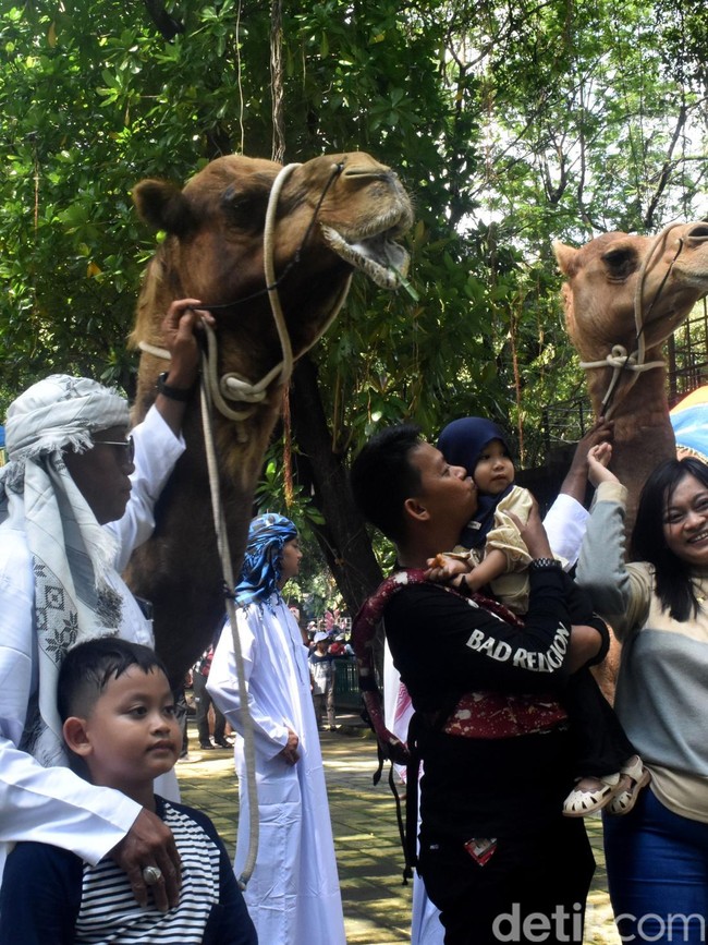 Ribuan Pengunjung Padati Kebun Binatang Surabaya