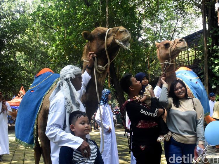 Ribuan Pengunjung Padati Kebun Binatang Surabaya