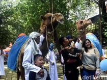Ribuan Pengunjung Padati Kebun Binatang Surabaya