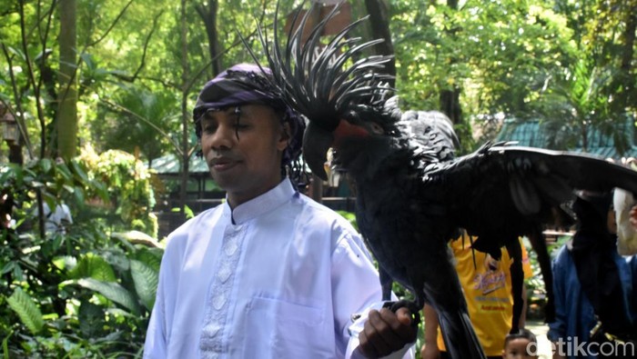 Parade Satwa Kebun Binatang Surabaya