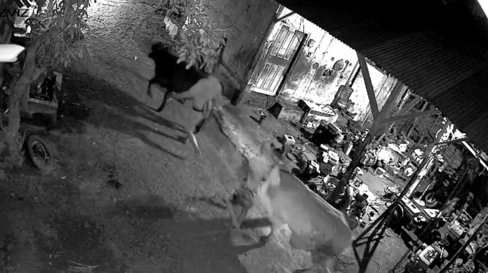 Tangkapan layar CCTV