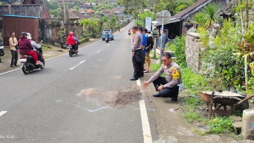 TKP lakalantas di jalan umum jurusan Pupuan-Seririt, Desa Bantiran, Kecamatan Pupuan yang menyebabkan lansia 77 tahun meninggal di tempat . (Istimewa)