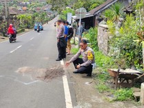 Lansia Tewas Tertabrak Truk di Tabanan, Terseret 7 Meter