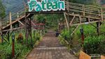 Oase Hijau di Perkebunan Teh Tambi, Bak Permadani