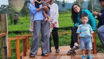 Oase Hijau di Perkebunan Teh Tambi, Bak Permadani